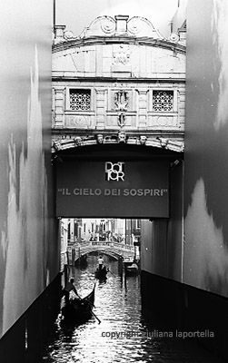 venezia bienn007